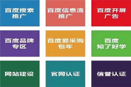 案例分享：百度竞价排名助力企业实现跨越式发展